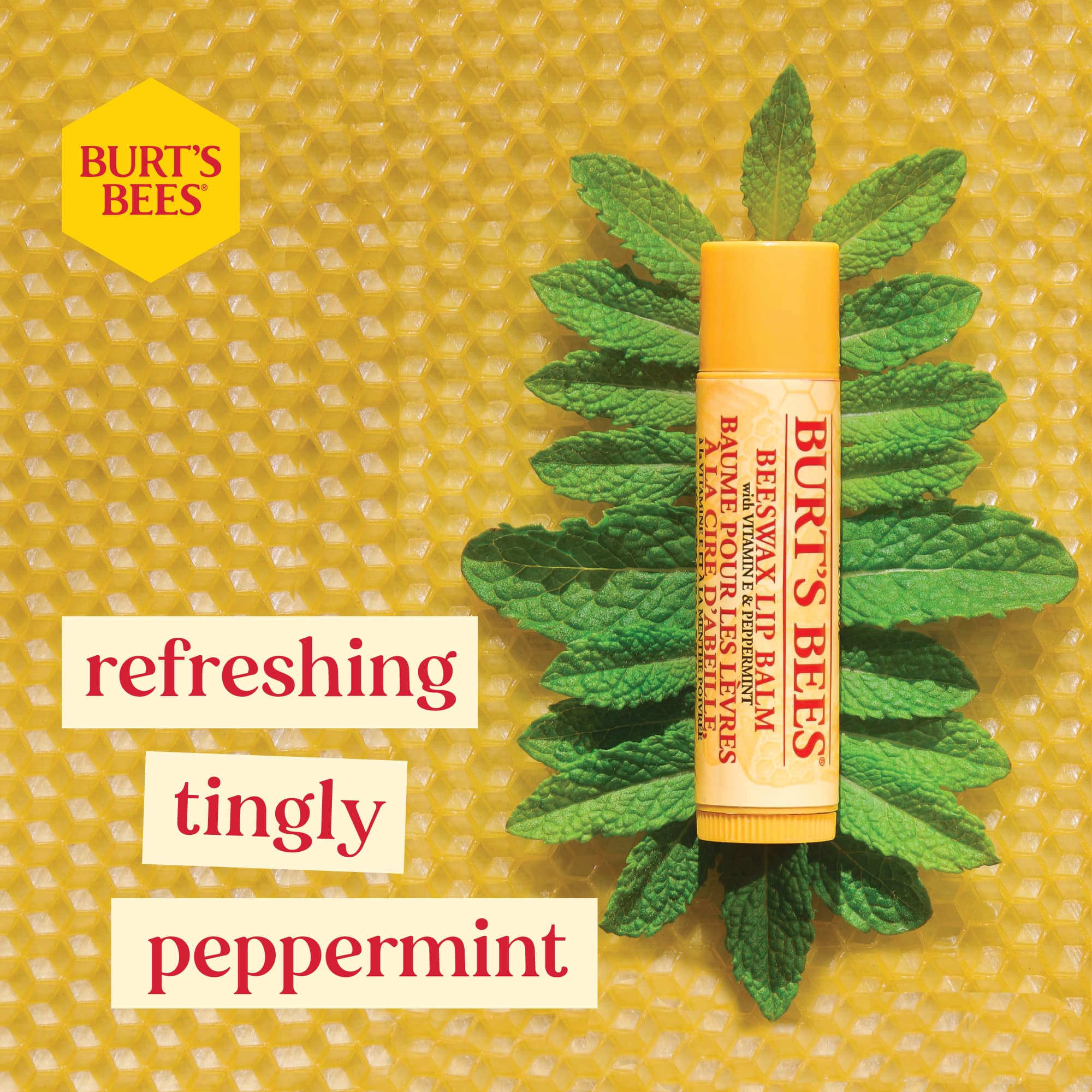 Burt's Bees Beeswax Lip Balm with refreshing peppermint ingredient